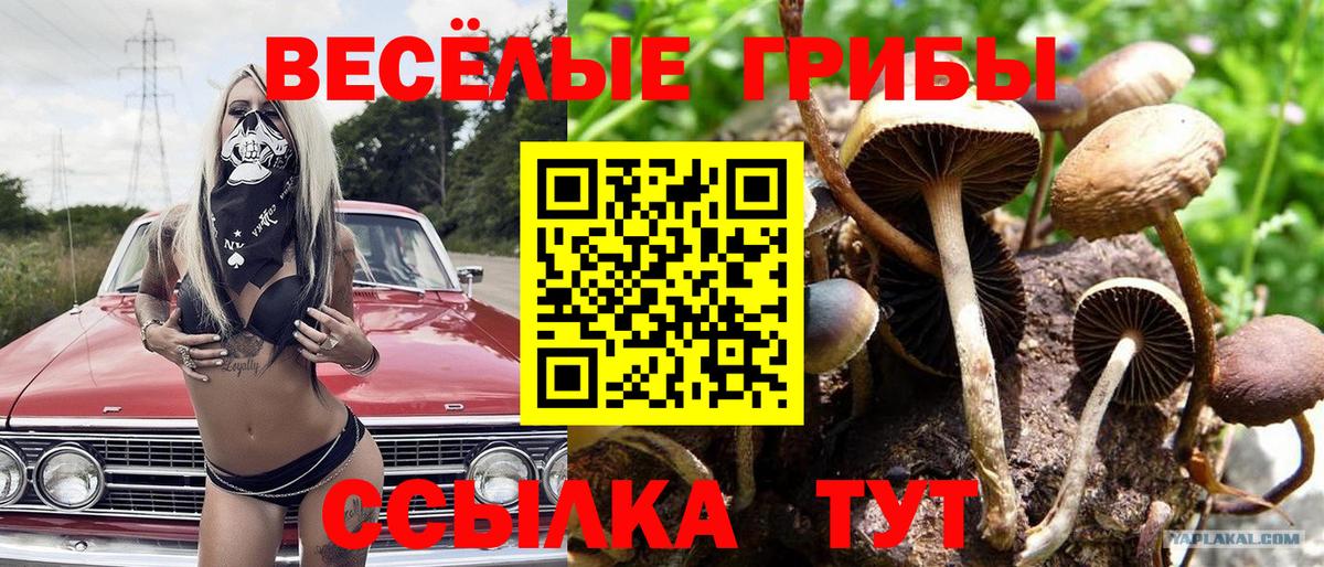 Псилоцибиновые грибы Cubensis  Галлюциногенные грибы GOLDEN TEACHER  Вход с VPN  Печора 